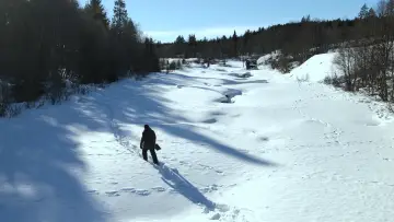 Zasłona do filmu "Arctic