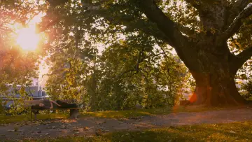 Zasłona do filmu "Życie Adeli – Rozdział 1 i 2" #240774