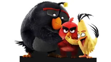 Zasłona do filmu "Angry Birds: Film" #296936