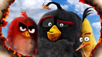Zasłona do filmu "Angry Birds: Film" #296943