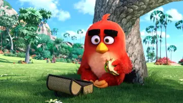 Zasłona do filmu "Angry Birds: Film" #296946