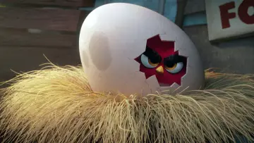 Zasłona do filmu "Angry Birds: Film" #296950