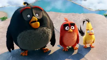 Zasłona do filmu "Angry Birds: Film" #637477