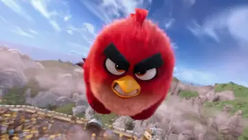 Zasłona do filmu "Angry Birds: Film" #960431