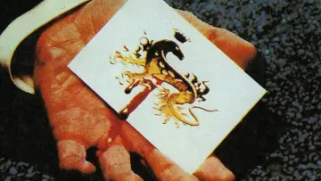Zasłona do filmu "Salamandra" #1855842