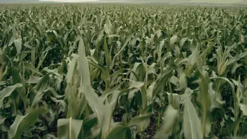 Zasłona do filmu "Interstellar" #797367