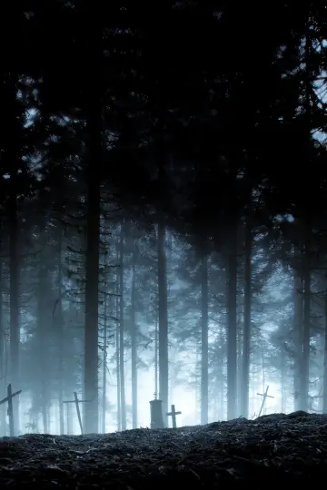 Plakat do filmu "Smętarz dla zwierzaków" #327783