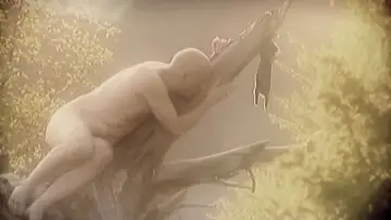 Zasłona do filmu "Melancholie der Engel" #861917