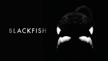 Zasłona do filmu "Blackfish" #1042829