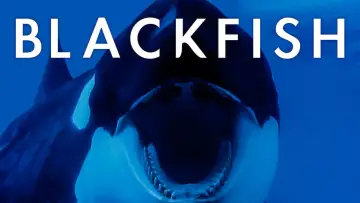 Zasłona do filmu "Blackfish" #155007