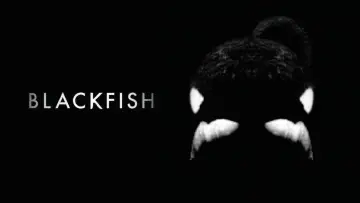 Zasłona do filmu "Blackfish" #155008