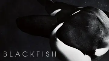 Zasłona do filmu "Blackfish" #155009