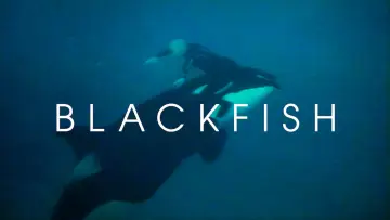 Zasłona do filmu "Blackfish" #155010