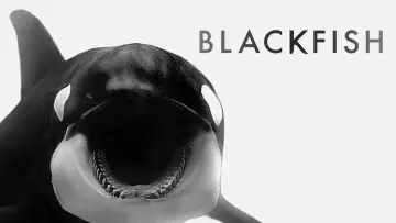 Zasłona do filmu "Blackfish" #155012