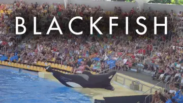 Zasłona do filmu "Blackfish" #155013