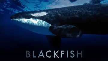 Zasłona do filmu "Blackfish" #155014