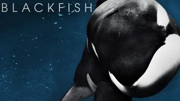 Zasłona do filmu "Blackfish" #155016