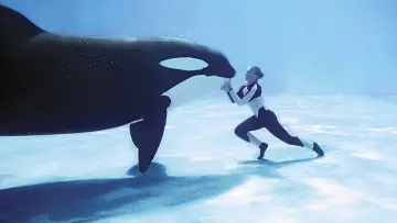 Zasłona do filmu "Blackfish" #404442
