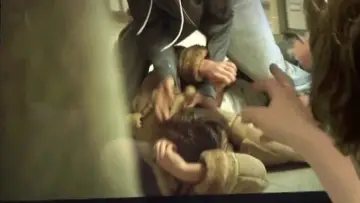Zasłona do filmu "The Dirties" #1143795