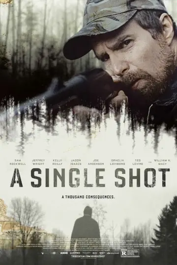 Plakat do filmu "Czysty strzał" #1578264
