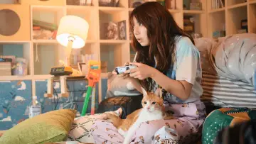 Zasłona do filmu "ロマンティック・キラー" #848696