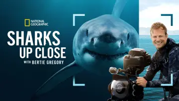 Zasłona do filmu "Bertie Gregory: Bliskie spotkanie z rekinami" #792998