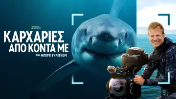 Zasłona do filmu "Bertie Gregory: Bliskie spotkanie z rekinami" #793008