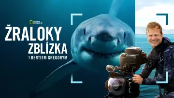 Zasłona do filmu "Bertie Gregory: Bliskie spotkanie z rekinami" #793014