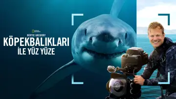 Zasłona do filmu "Bertie Gregory: Bliskie spotkanie z rekinami" #793020
