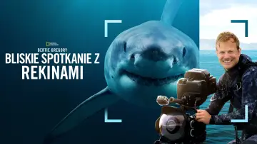 Zasłona do filmu "Bertie Gregory: Bliskie spotkanie z rekinami" #793026
