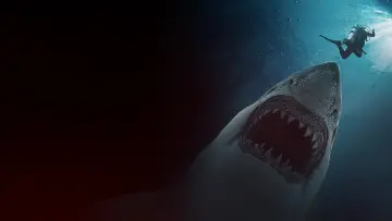Zasłona do filmu "Biała otchłań" #592676