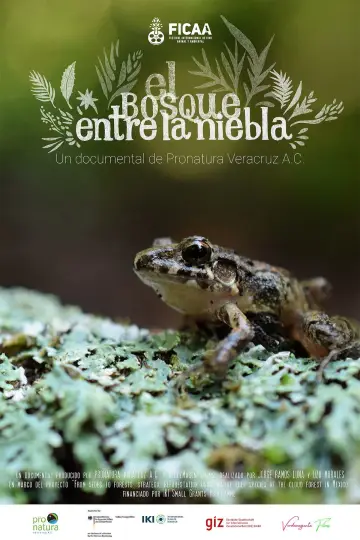 Plakat do filmu "El bosque entre la niebla" #1169676