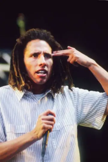 Rage Against The Machine - Live at Pinkpop Festival 1994 plakat