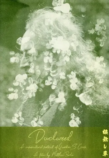 Plakat do filmu "Duckweed" #879152