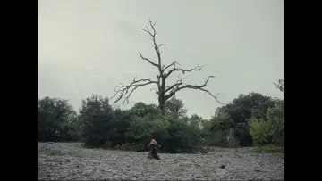 Zasłona do filmu "Capharnaüm" #870923