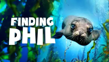 Zasłona do filmu "Finding Phil" #961704