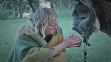 Zasłona do filmu "Donkey Days" #813192