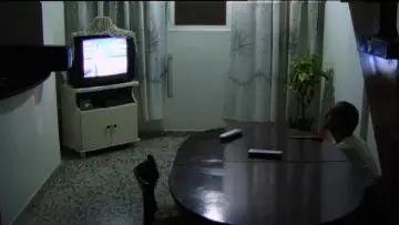 Zasłona do filmu "With Hasan in Gaza" #771439