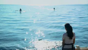 Zasłona do filmu "Pinikas" #824425