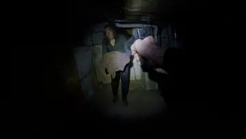 Zasłona do filmu "Bodycam" #763292