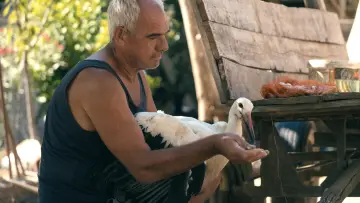 Zasłona do filmu "Приказната за Силјан" #540303