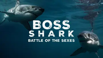 Zasłona do filmu "Great White Sex Battle" #981004