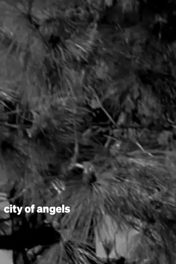 city of angels plakat