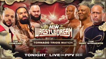 Zasłona do filmu "AEW WrestleDream 2025" #868178