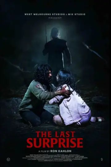 The Last Surprise plakat