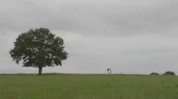 Zasłona do filmu "Je Serai Là" #1152694