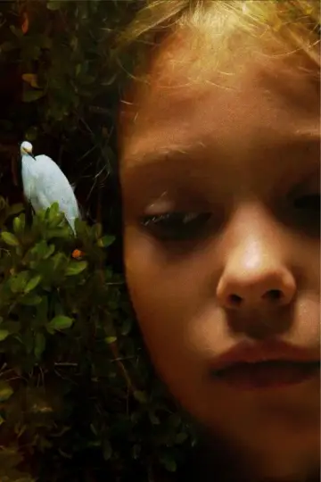 Plakat do filmu "Laguna" #919693
