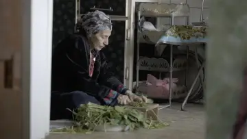 Zasłona do filmu "فلانة" #822254