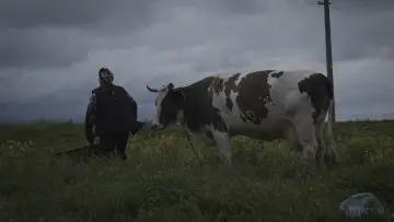 Zasłona do filmu "Kırağı Tutmuş Yaprak" #1192630