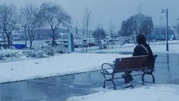 Zasłona do filmu "Kırağı Tutmuş Yaprak" #776791